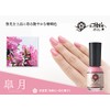 Kyo no Gofun Nail Satsuki