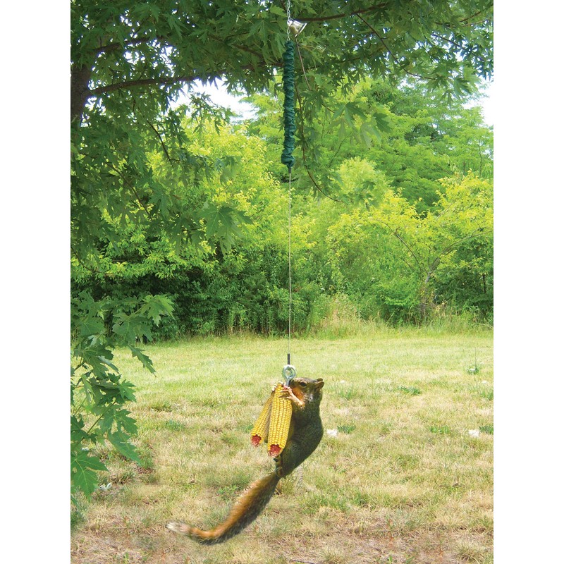 Songbird Essentials Squngee Squirrel Feeder, Amusing Bungee and Bell Squirrel