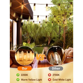 20ft LED Outdoor String Lights with 22 Edison Bulbs (2 Spare), 0.6W -E17 Medium Base ST40 Vintage Outdoor Garden Lights Waterproof UL Listed for Bistro Garden Backyard Party Wedding Decoration