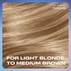 Clairol Nice 'n Easy Frost & Tip Original