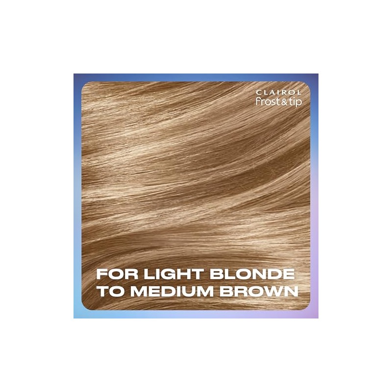Clairol Nice 'n Easy Frost & Tip Original