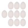 RDEXP Plastic White Solid Fake Dummy Egg for Pigeons Pack
