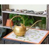 Achla WC-01 Designs Watering Can, 1L, Brass