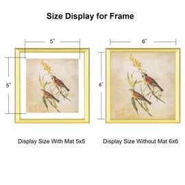 6x6 Picture Frame, Gold Aluminum Metal Square Photo Frame with HD Glass, Fits 5x5 with Mat or 6 x 6 without Mat, Display For Tabletop or Wall Collage, 1 Pack