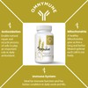 Fermented Wheat Germ Extract - 13 mg spermidine per Capsule