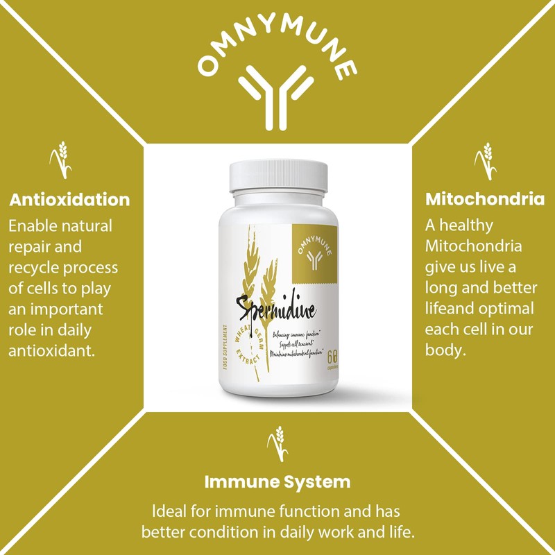 Fermented Wheat Germ Extract - 13 mg spermidine per Capsule