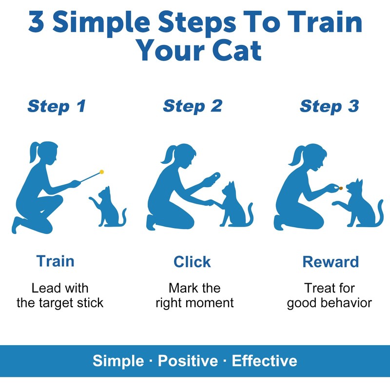 Cat Training Clicker Kit – Includes Finger Clicker and Target