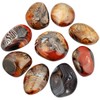 Nupuyai Sardonyx Natural Palm Tree Stone for Relaxation and Yoga