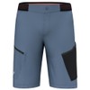 Salewa Pedroc 3 Durastretch Men's Cargo Shorts
