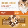 Catit Recipes Double Fusion Adult Cat Food – Chicken Recipe,