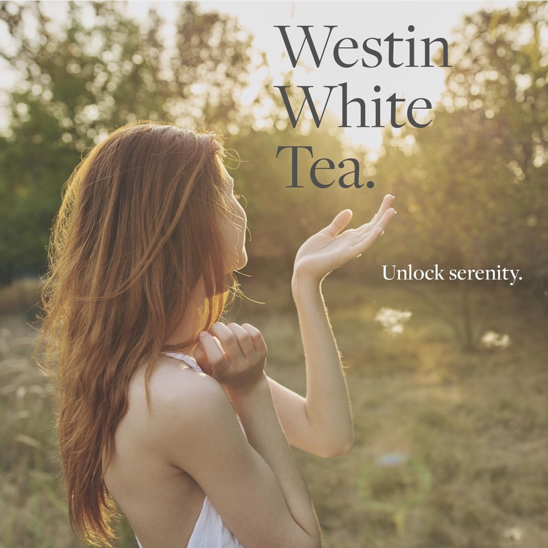 Westin White Tea Candle in a Tin - Hand-Poured, Soy