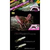 JACKALL Worm, 1.9 inches (48 mm), Grippan Goby