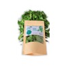 Naturally Grown Dried neem Leaves 0.4 oz Whole