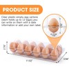 40 Eggs Transparent Plastic Organiser，Plastic Egg Cartons ，Egg Tray for