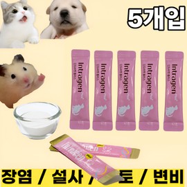 Intrazen Plus pet nutrition, 2g, intestinal health lactic acid bacteria, 5 pcs / 인트라젠 플러스 반려동물 영양제, 2g, 장건강유산균, 5개
