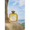 Muschio Oro Eau de Cologne 50ml 6312964004800 / 무스치오 오로