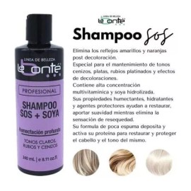 Labonté Shampoo Matizador La Bonte