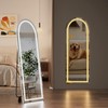 Koonmi Full Length Mirror with LED Lights 56"x20"