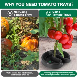 Tomato Seed Tray All Purpose Tool,Easy to Install, Convenient Management Water,Weeding Machine for Protecting Root Growing Plants Such as Tomatoes and Chili Peppers