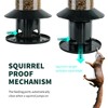 Squirrel Proof Bird Feeder - 360° Feeding Perch Tray for