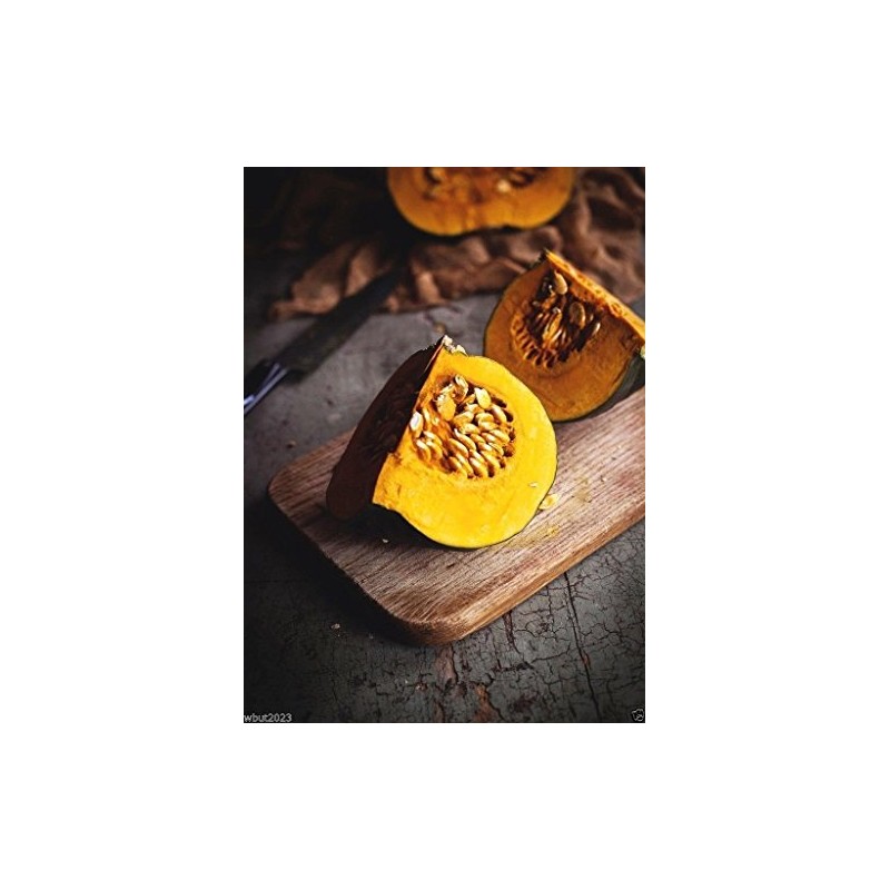 20 JAPANESE GREEN PUMPKIN SEEDS - Kabocha - Open pollinated,
