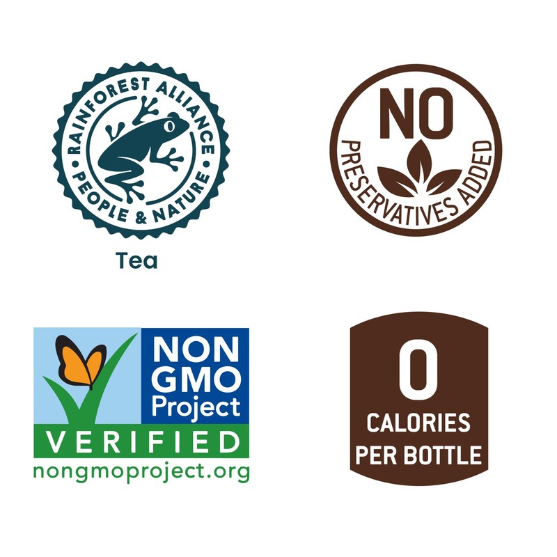 Tejava Pineapple Mango Black Tea, 6 Pack 16.9 oz PET,