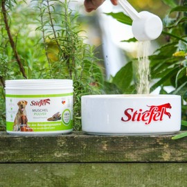 Stiefel Muschelpulver für Hunde, 100% naturbelassen, reines Naturprodukt aus neuseeländischer Grünlippmuschel, unterstützt den gesamten Bewegungsapparat, das Bindegewebe & die Gelenkfunktion, 200g