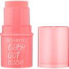 2026 Blush Stick Essence Baby Got Blush