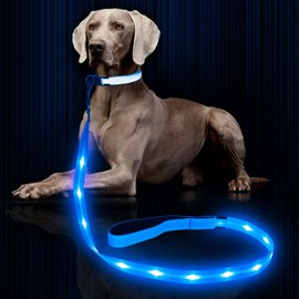 Weesiber Glowing Light Up LED Dog Leash - 4ft USB Rechargeable Flashing Nylon Leash for Small Medium Large Dogs, 3 Flash Modes (Blue)