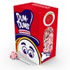 Dum Dums Strawberry Lollipops - Bulk Candy Box with Lollipops