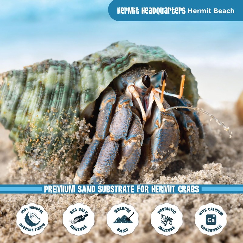 Fluker's All-Natural Premium Sand Substrate Mixture for Hermit Crabs, 12lbs