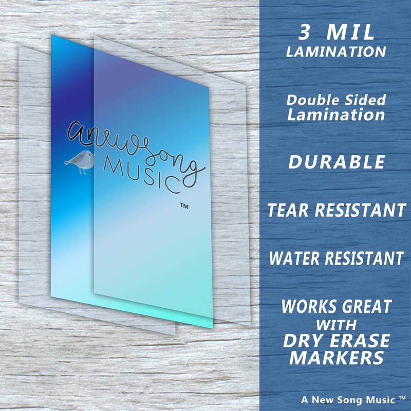 Laminated Mandolin Fretboard Notes & Easy Beginner Chord Chart 11"x17"