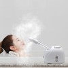 Facial Steamer Nanometer Fine Mist for Deep Cleaning with Towel,