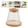 Abaodam 2Pcs Hydroponic Glass Plant Propagation Jars with Stand Lid