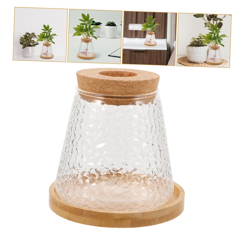 Abaodam 2Pcs Hydroponic Glass Plant Propagation Jars with Stand Lid