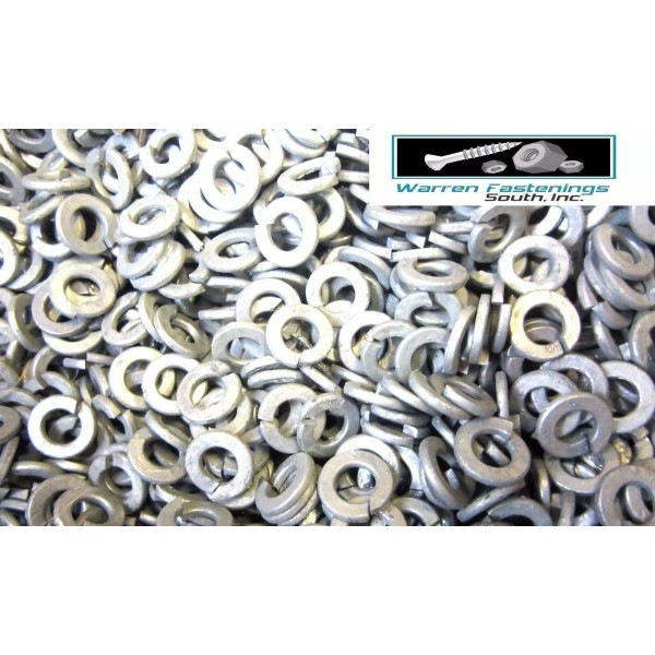 WARREN FASTENINGS SOUTH 1/4 Inch Lock Washers Hot Dipped Galvanized