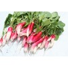 600 China Rose Radish Seeds for Planting Heirloom Non GMO