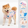 cyeollo Recovery Suit for Dogs Cats Surgery Suit Female Spay