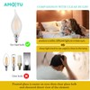 AMDTU 60W Candelabra Light Bulbs LED, Frosted Chandelier Bulb 60