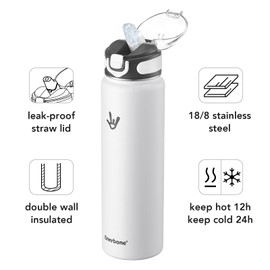 Enerbone Insulated Water Bottle, 32 oz Stainless Steel Water Bottles with Carrying Strap, Double-Wall Vacuum Insulation Thermos, Leakproof Sports Bottle with Straw, Keep Drinks Hot or Cold for Hours