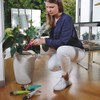 G.F. GF80256344 Sprinkler Bottle for Potted Plants, 3 x 5
