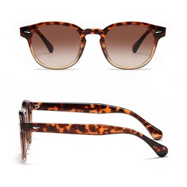 LHSDMOAT Retro Oval Depp style Sunglasses Men Women, Vintage Round UV400 Protection Shades, Fashion Tinted Lens Circle Sun Glasses