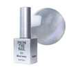From the Nail MAGNET color gel nail, FG.216, 10g, 1 piece / 프롬더네일 MAGNET 컬러 젤네일, FG.216, 10g, 1개