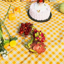 Waterproof Large Picnic Mat 145x200cm Picnic Mat 200x200cm 2ea