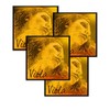 EVAH PIRAZZI Eva Pilazzi Gold Viola String 4 String Set