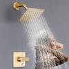 Esnbia Shower Kit, Shower Faucet Set（Valve Included) with 6-Inch Rain