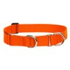 LupinePet Basics 1" Blaze Orange 19-27" Martingale Collar for Large