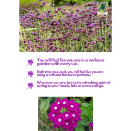 Generic Eyup Sabri Tuncer Verbena & Fresh Lemon Wet Wipes, Soft Face Towels, Cleansing and Hand Wipes for Travel Refreshing, Gentle, Disposable Wipes for Always Clean Skin 150 Pieces Per Pack, (2 Packs)