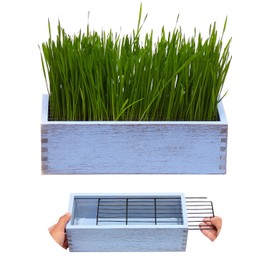 BENPIN Wooden Cat Grass Planter (no Seeds Included) with Anti-Digging Design, and Removable Plastic Liner, Durable, Leak Proof Wheat Grass Growing Pot, Cat Grass for Indoor Cats Pets (Vintage Blue)