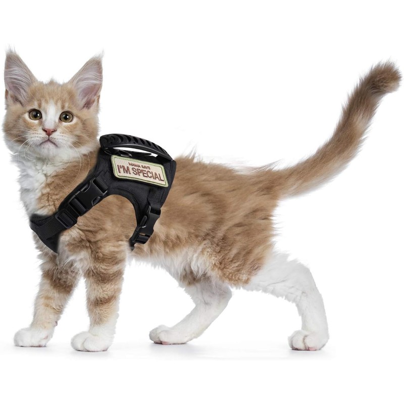 Arnés táctico para gatos para caminar a prueba de escapes,